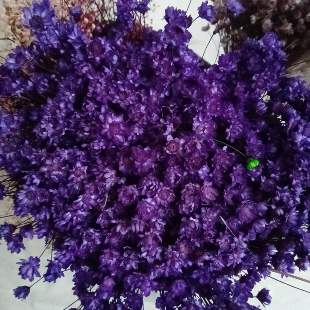 Purple Dried Flower Bouquet